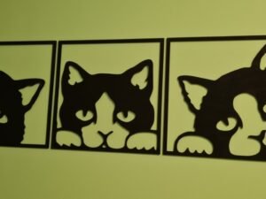 Katinuku paveikslai
