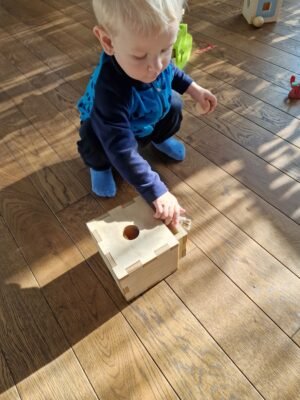 Montessori dėžutė