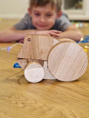 Natūralaus medžio medinė varlė traukiamas žaislas Pagaminta Lietuvoje edukaciniai žaislai mediniai žaislai varlytė