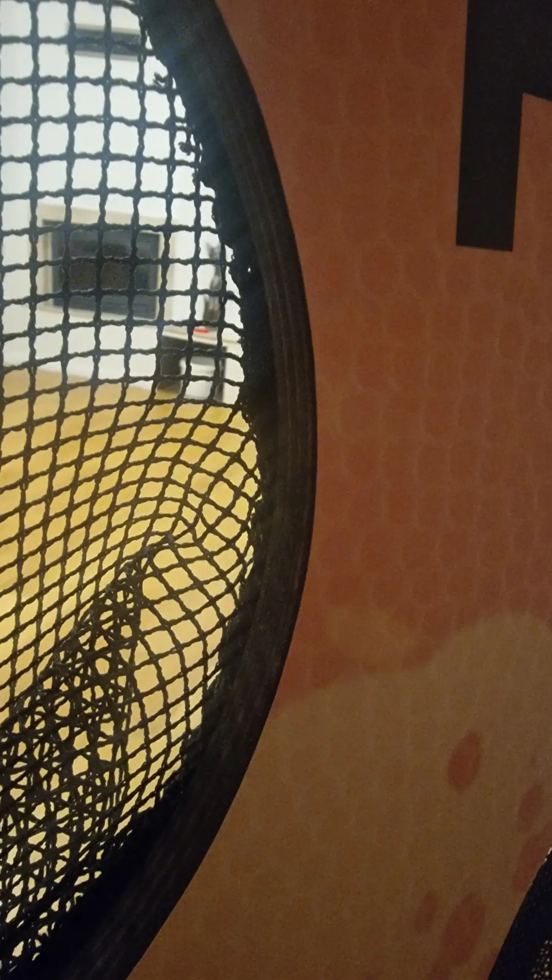 Skylė Sienoje detalus vaizdas – skylės su tinkleliais ir taškų vertėmis 10 20 40 50