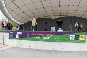 Outdoor Games Festival in Šiauliai, Lithuania: people playing large wooden games, photo 16